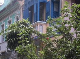 Rio de Janeiro. Kolloquium Interkultureller Studien 2004. Foto A,A.Bispo. Copyright